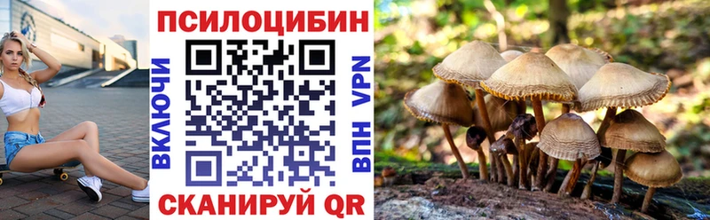 Галлюциногенные грибы Magic Shrooms  маркетплейс наркотические препараты  Чегем 